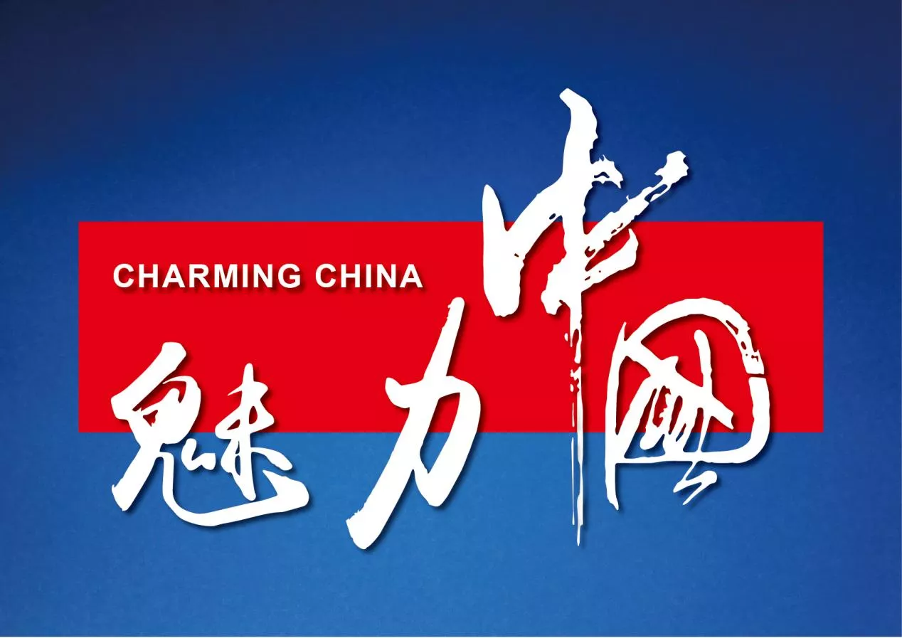 魅力中国之法治同行 护航青春