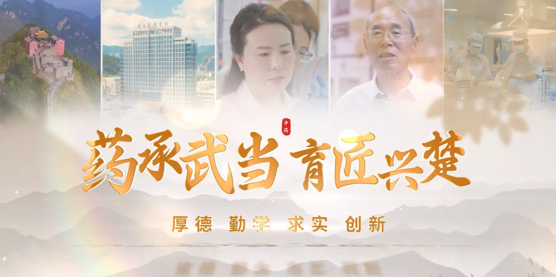 魅力东方之药承武当 育匠兴楚
