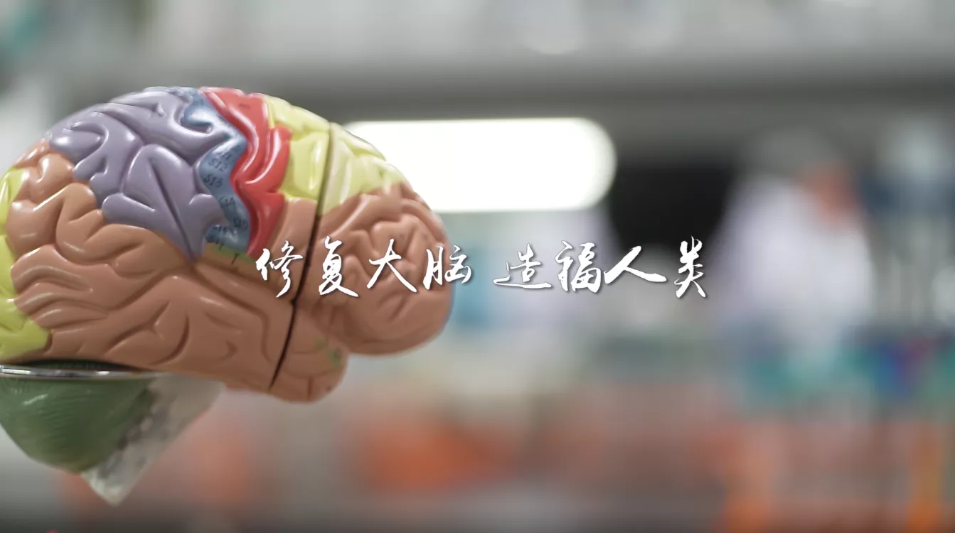魅力中国之修复大脑 造福人类