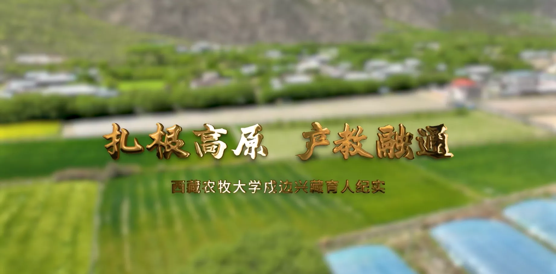 魅力东方之扎根高原 产教融通