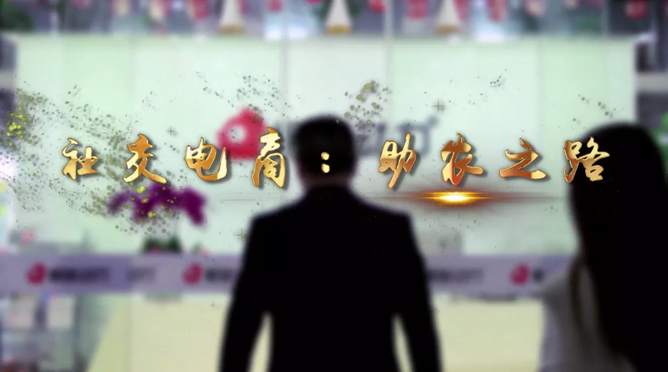 魅力中国之社交电商：助农之路