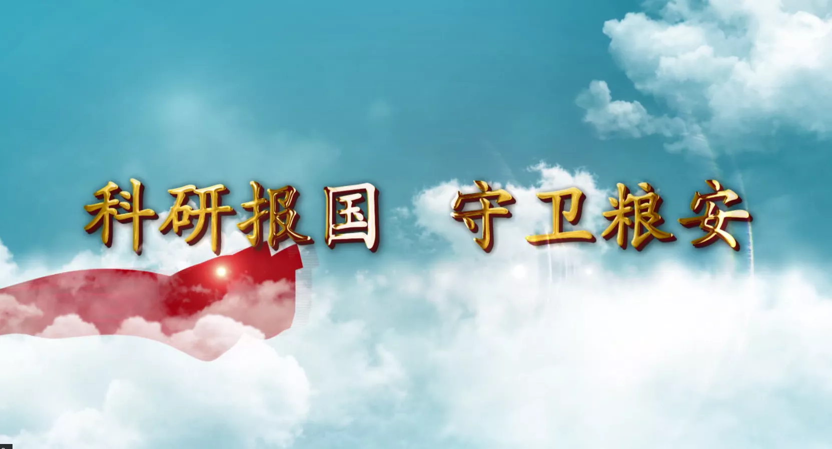魅力中国之科研报国 守卫粮安