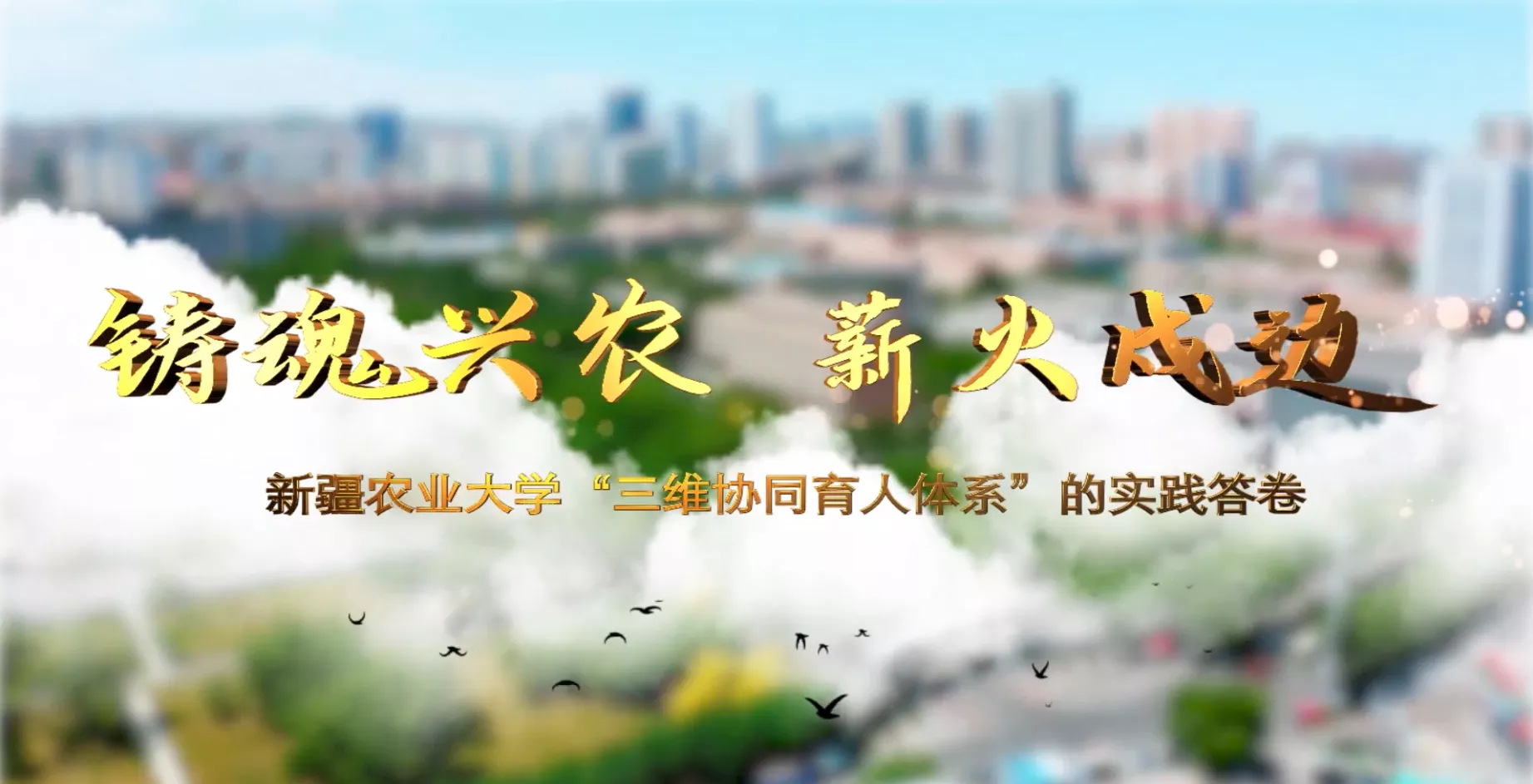 魅力东方之铸魂兴农·薪火戍边