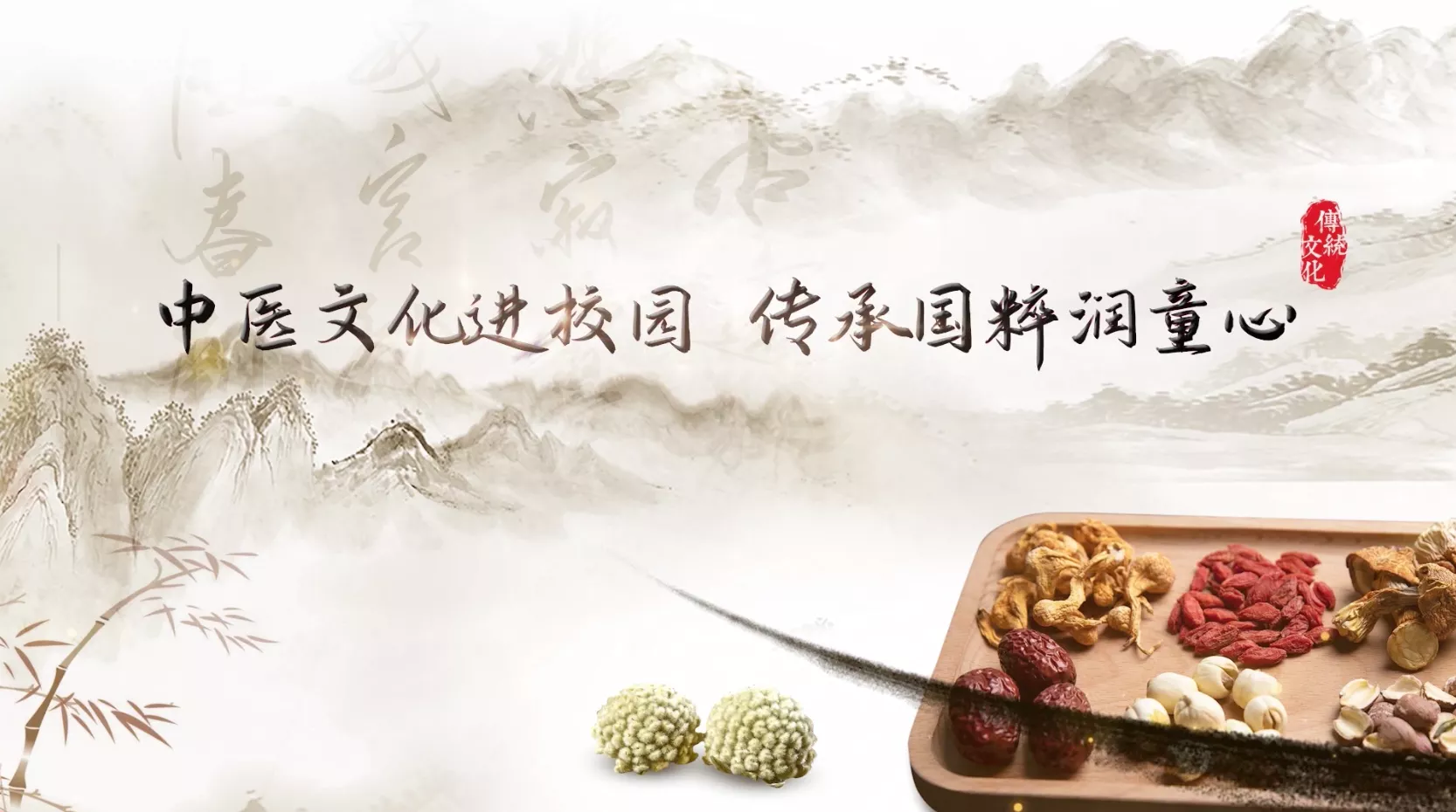 魅力东方之中医文化进校园 传承国粹润童心