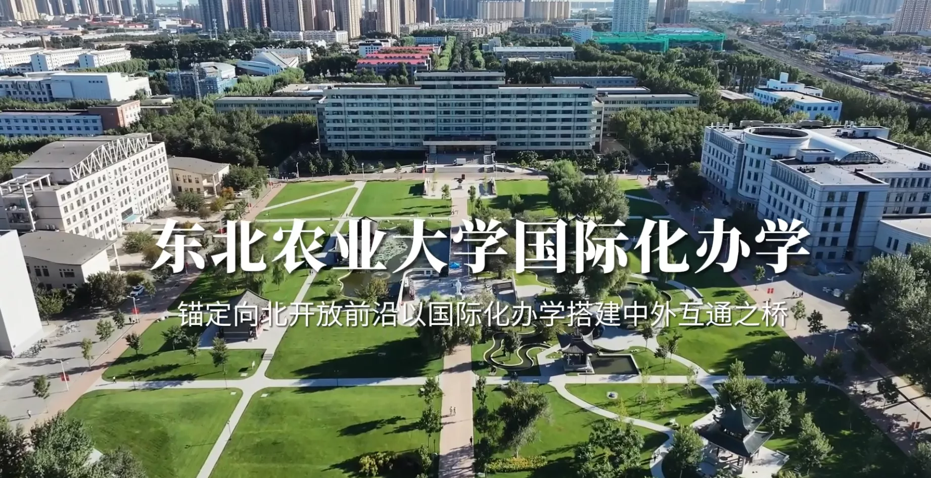 魅力东方之东北农业大学国际化办学