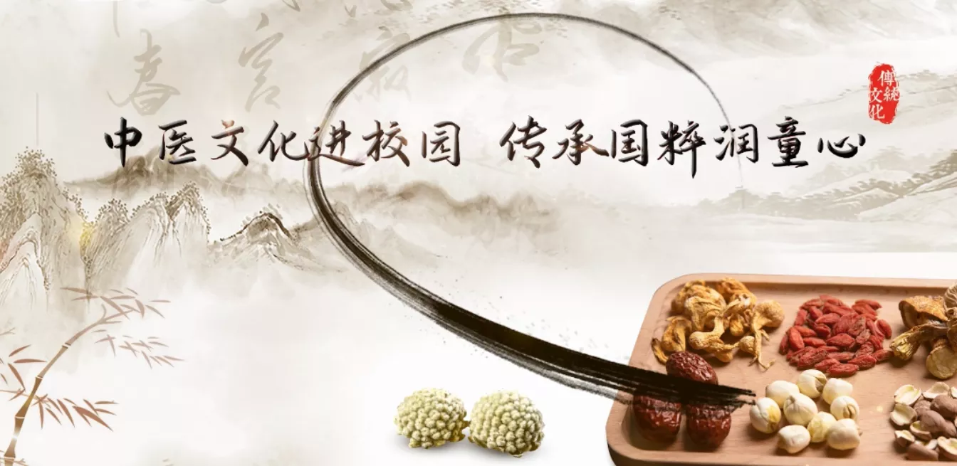 魅力中国之深圳冠华育才学校
